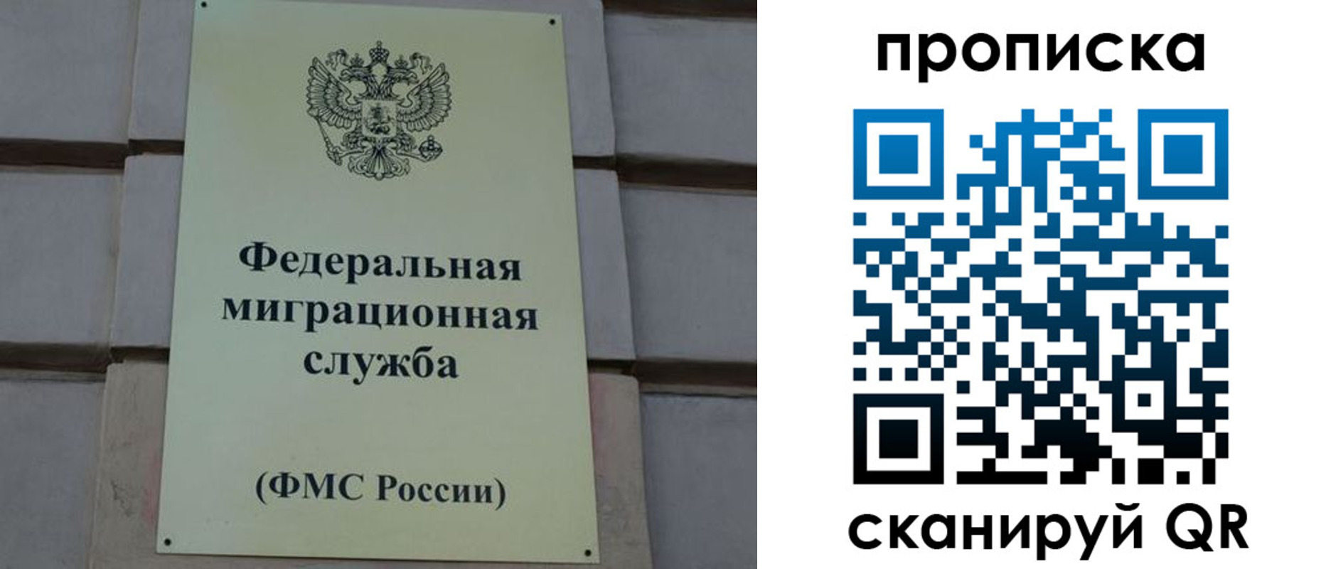 прописка поиск в Гороховце